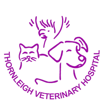 all about cats veterinary hospital